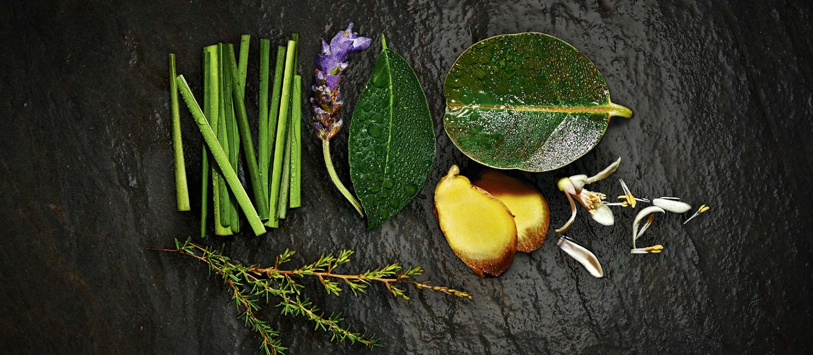 Aveda - pure flower and plant essences